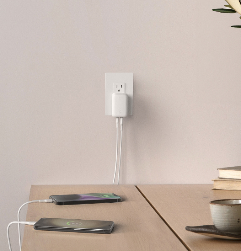 42W Dual Wall Charger, Fast Charging for iPhone 15, 14, 13, Plus, Pro, Pro Max, Galaxy S23 Ultra, iPad and more 