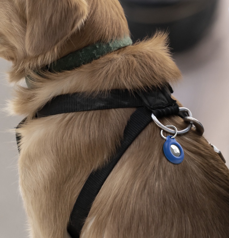 Secure, protect, accessorize.   