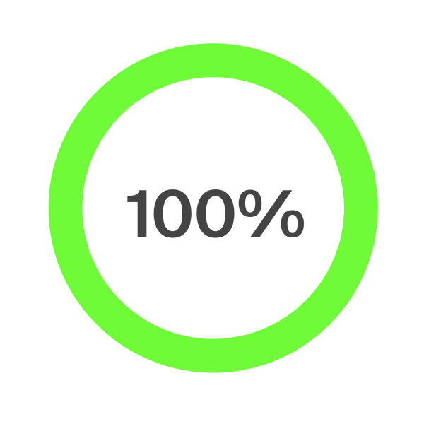 A bright green circular ring with the text &lsquo;100%&rsquo; in the center.