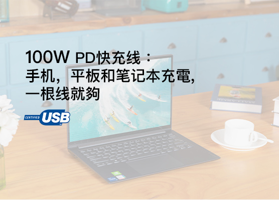 贝尔金 USB-C PD 电缆 100W