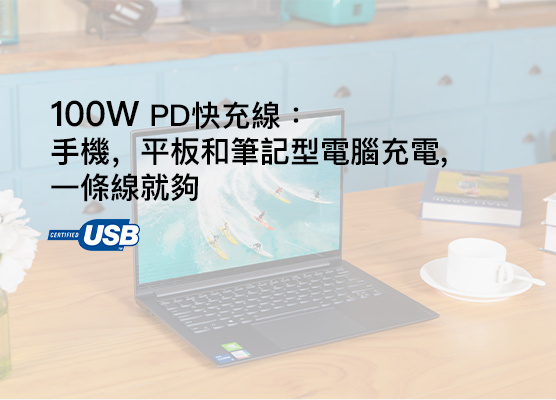 Belkin USB-C cables 100W