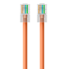 CAT6 Ethernet Patch Cable, RJ45, M/M, Orange, hi-res