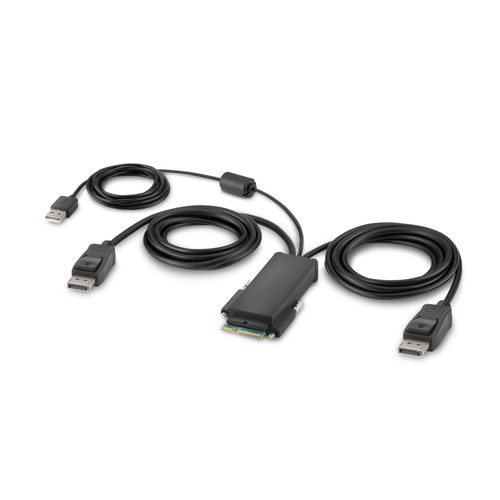 Belkin DP-Dual-Head-Host-Kabel für modulare KVMs, 1,8 m