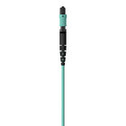 MTP to MTP MPO Fiber Optic Cable, 40GbE Aqua MTP/MTP, 50/125, OM3, Plenum, Aqua, hi-res
