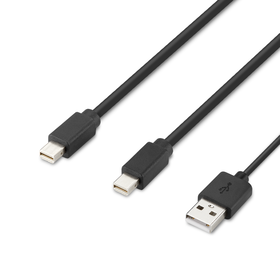 Modular Mini DP Dual-Head Host Cable 6 ft., Black, hi-res