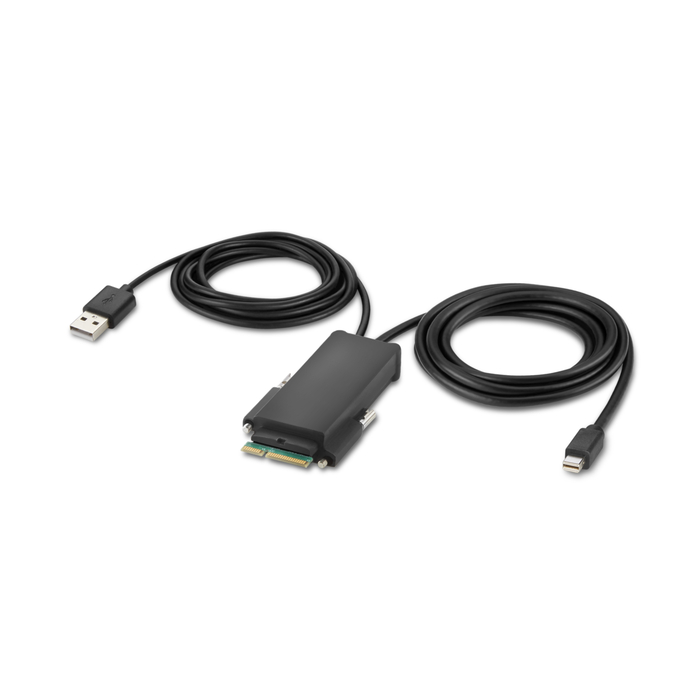 Modular Mini DP Single-Head Host Cable 6 ft., Black, hi-res