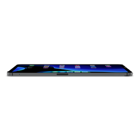 Protector de pantalla TruePrivacy para iPad Pro 11, , hi-res