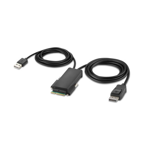 Belkin DP-Single-Head-Host-Kabel für modulare KVMs, 1,8 m