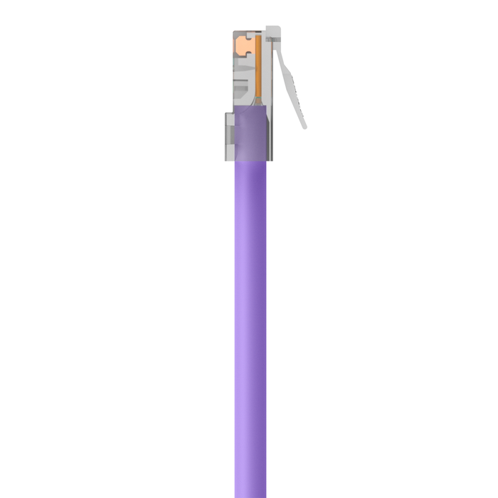 CAT6 Ethernet Patch Cable, RJ45, M/M, Purple, hi-res