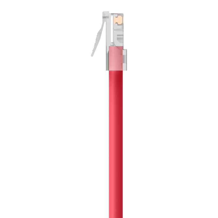 CAT6 Ethernet Patch Cable, RJ45, M/M, Red, hi-res