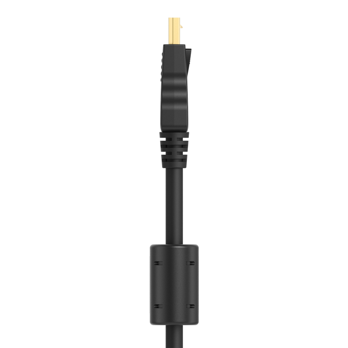 DisplayPort to VGA Cable, M/M, 1080P, Black, hi-res