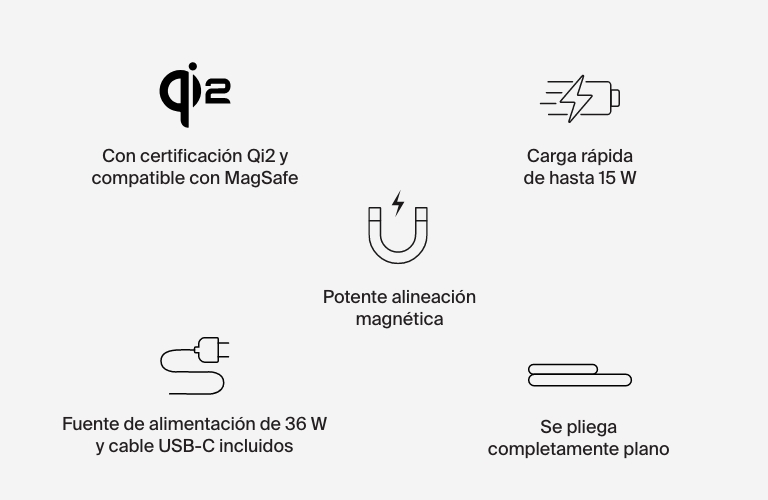 Iconograf&iacute;a del WIZ024