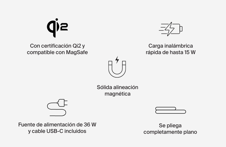 Iconograf&iacute;a del WIZ029