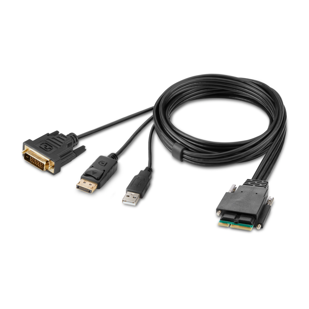 Modular DVI and DP Dual-Head Host Cable 6 ft.