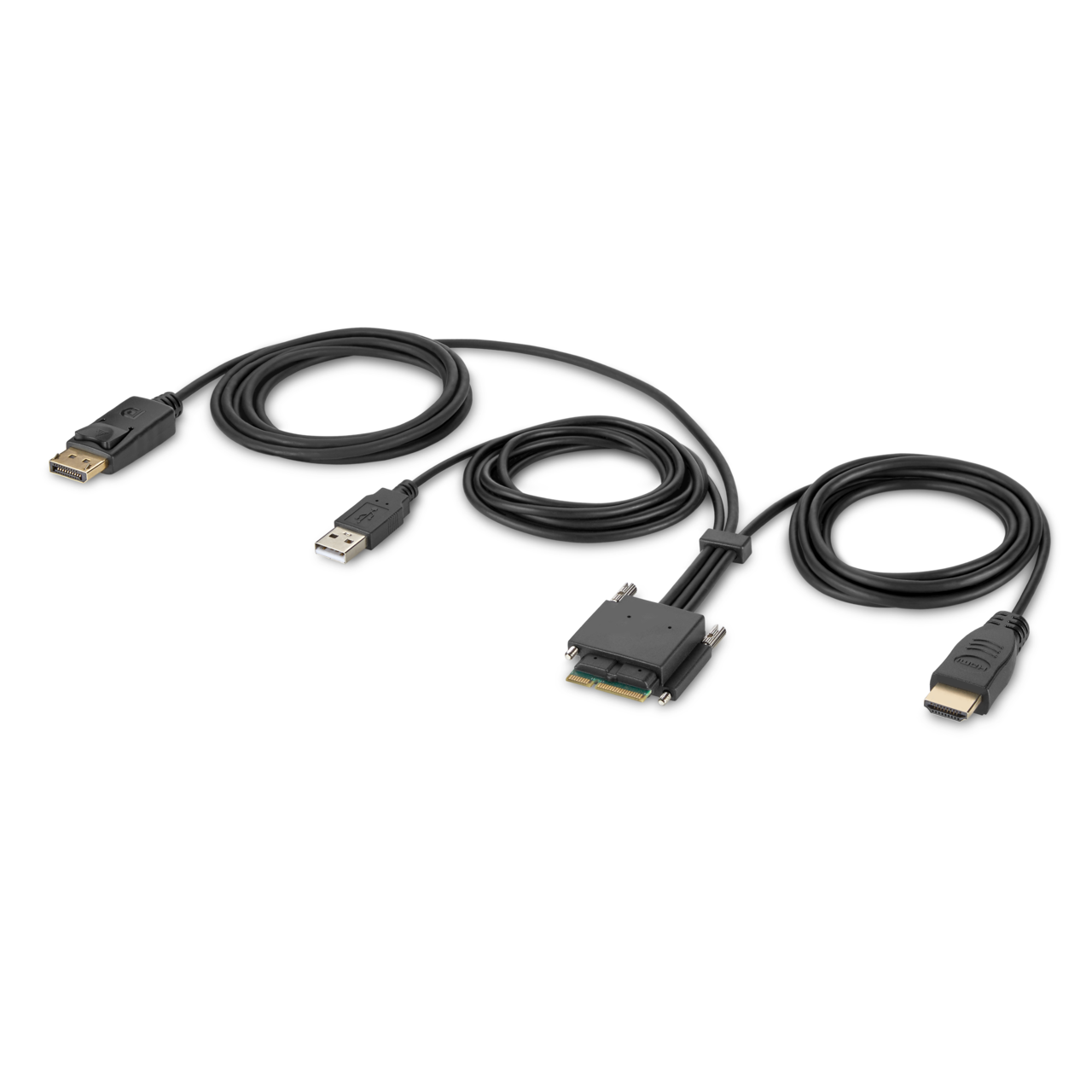 Modular HDMI & DP Dual Head Host Cable 6ft Belkin Belkin US