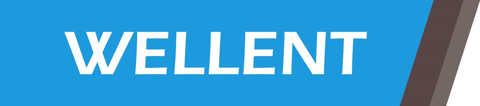 wtb-belkin-wellent-hk